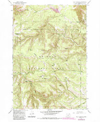 Download a high-resolution, GPS-compatible USGS topo map for Bally Mountain, OR (1985 edition)