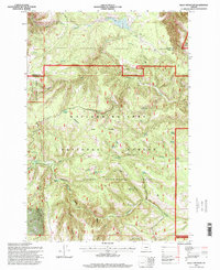 Download a high-resolution, GPS-compatible USGS topo map for Bally Mountain, OR (1998 edition)