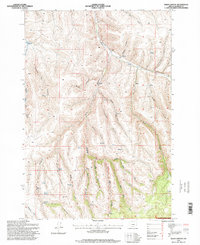 Download a high-resolution, GPS-compatible USGS topo map for Balm Canyon, OR (1998 edition)