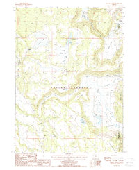 Download a high-resolution, GPS-compatible USGS topo map for Barnes Valley, OR (1988 edition)