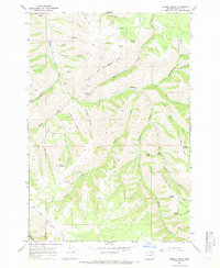 Download a high-resolution, GPS-compatible USGS topo map for Bassey Creek, OR (1969 edition)