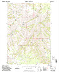 Download a high-resolution, GPS-compatible USGS topo map for Bassey Creek, OR (1998 edition)