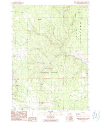 Download a high-resolution, GPS-compatible USGS topo map for Bear Canyon Butte, OR (1990 edition)