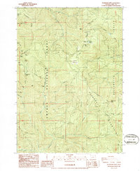 Download a high-resolution, GPS-compatible USGS topo map for Bearbones Mtn, OR (1986 edition)