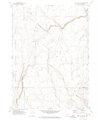Download a high-resolution, GPS-compatible USGS topo map for Beatys Butte NW, OR (1974 edition)