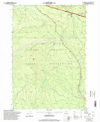 Download a high-resolution, GPS-compatible USGS topo map for Beaver Butte, OR (1998 edition)