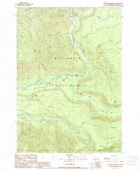 preview thumbnail of historical topo map of Lane County, OR in 1989