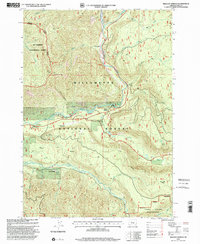 Download a high-resolution, GPS-compatible USGS topo map for Belknap Springs, OR (2001 edition)