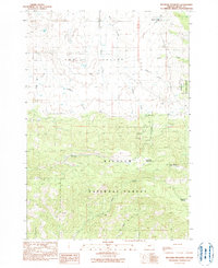 Download a high-resolution, GPS-compatible USGS topo map for Belshaw Meadows, OR (1990 edition)
