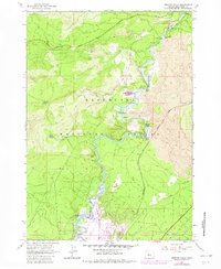 Download a high-resolution, GPS-compatible USGS topo map for Benham Falls, OR (1981 edition)