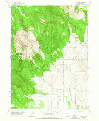 Download a high-resolution, GPS-compatible USGS topo map for Big Baldy, OR (1966 edition)