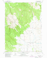 Download a high-resolution, GPS-compatible USGS topo map for Big Baldy, OR (1980 edition)