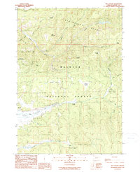Download a high-resolution, GPS-compatible USGS topo map for Big Canyon, OR (1990 edition)