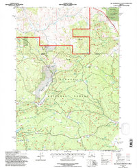 Download a high-resolution, GPS-compatible USGS topo map for Big Mowich Mountain, OR (1997 edition)