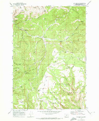 Download a high-resolution, GPS-compatible USGS topo map for Big Rock Flat, OR (1973 edition)