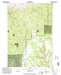 Download a high-resolution, GPS-compatible USGS topo map for Big Rock Flat, OR (1998 edition)