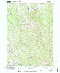 Download a high-resolution, GPS-compatible USGS topo map for Bill Peak, OR (1973 edition)