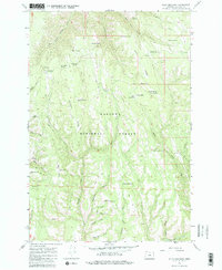 Download a high-resolution, GPS-compatible USGS topo map for Billy Meadows, OR (1983 edition)