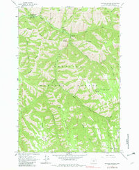 Download a high-resolution, GPS-compatible USGS topo map for Bingham Springs, OR (1982 edition)