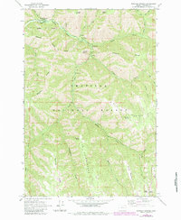Download a high-resolution, GPS-compatible USGS topo map for Bingham Springs, OR (1983 edition)