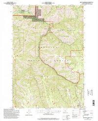 Download a high-resolution, GPS-compatible USGS topo map for Bingham Springs, OR (1998 edition)