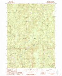 Download a high-resolution, GPS-compatible USGS topo map for Biscuit Hill, OR (1989 edition)