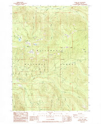 Download a high-resolution, GPS-compatible USGS topo map for Blair Lake, OR (1986 edition)