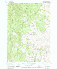 Download a high-resolution, GPS-compatible USGS topo map for Blue Canyon, OR (1985 edition)