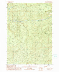 Download a high-resolution, GPS-compatible USGS topo map for Bone Mountain, OR (1990 edition)