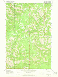 Download a high-resolution, GPS-compatible USGS topo map for Bone Spring, OR (1971 edition)