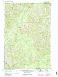 Download a high-resolution, GPS-compatible USGS topo map for Bone Spring, OR (1984 edition)