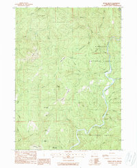 Download a high-resolution, GPS-compatible USGS topo map for Bosley Butte, OR (1989 edition)