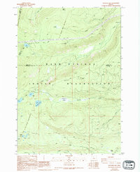 Download a high-resolution, GPS-compatible USGS topo map for Boulder Butte, OR (1994 edition)