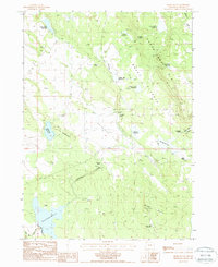 Download a high-resolution, GPS-compatible USGS topo map for Brady Butte, OR (1988 edition)