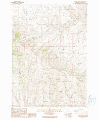 Download a high-resolution, GPS-compatible USGS topo map for Brady Creek, OR (1990 edition)