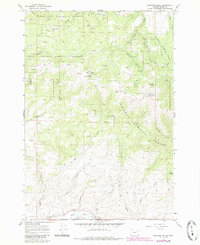 Download a high-resolution, GPS-compatible USGS topo map for Brannan Gulch, OR (1985 edition)