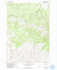 preview thumbnail of historical topo map of Baker County, OR in 1993