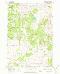 Download a high-resolution, GPS-compatible USGS topo map for Brewer Reservoir, OR (1972 edition)
