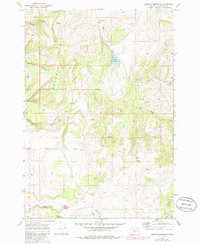 Download a high-resolution, GPS-compatible USGS topo map for Brewer Reservoir, OR (1985 edition)