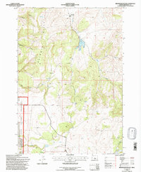 Download a high-resolution, GPS-compatible USGS topo map for Brewer Reservoir, OR (1997 edition)