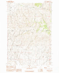 Download a high-resolution, GPS-compatible USGS topo map for Bridgeport, OR (1990 edition)