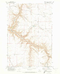 Download a high-resolution, GPS-compatible USGS topo map for Bronx Canyon, OR (1973 edition)