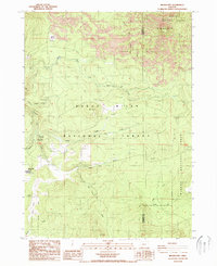 Download a high-resolution, GPS-compatible USGS topo map for Brown Mountain, OR (1988 edition)