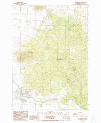 Download a high-resolution, GPS-compatible USGS topo map for Brownsville, OR (1988 edition)