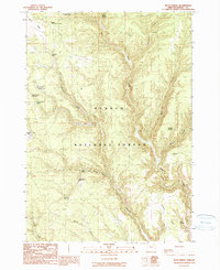 Download a high-resolution, GPS-compatible USGS topo map for Buck Spring, OR (1990 edition)