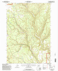 Download a high-resolution, GPS-compatible USGS topo map for Buck Spring, OR (1997 edition)