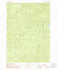 Download a high-resolution, GPS-compatible USGS topo map for Buckeye Lake, OR (1990 edition)