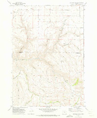 Download a high-resolution, GPS-compatible USGS topo map for Buckhorn Canyon, OR (1973 edition)