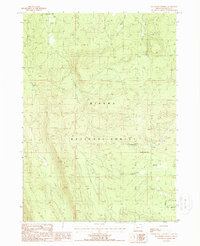 Download a high-resolution, GPS-compatible USGS topo map for Buckhorn Springs, OR (1988 edition)