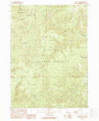 Download a high-resolution, GPS-compatible USGS topo map for Buckskin Peak, OR (1989 edition)